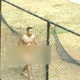 Anthony Hill walking around the apartment complex
YouTube screenshot
